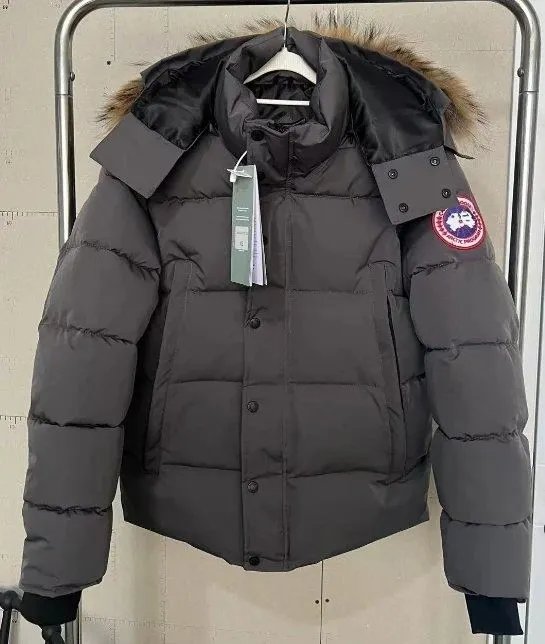 Product view 40