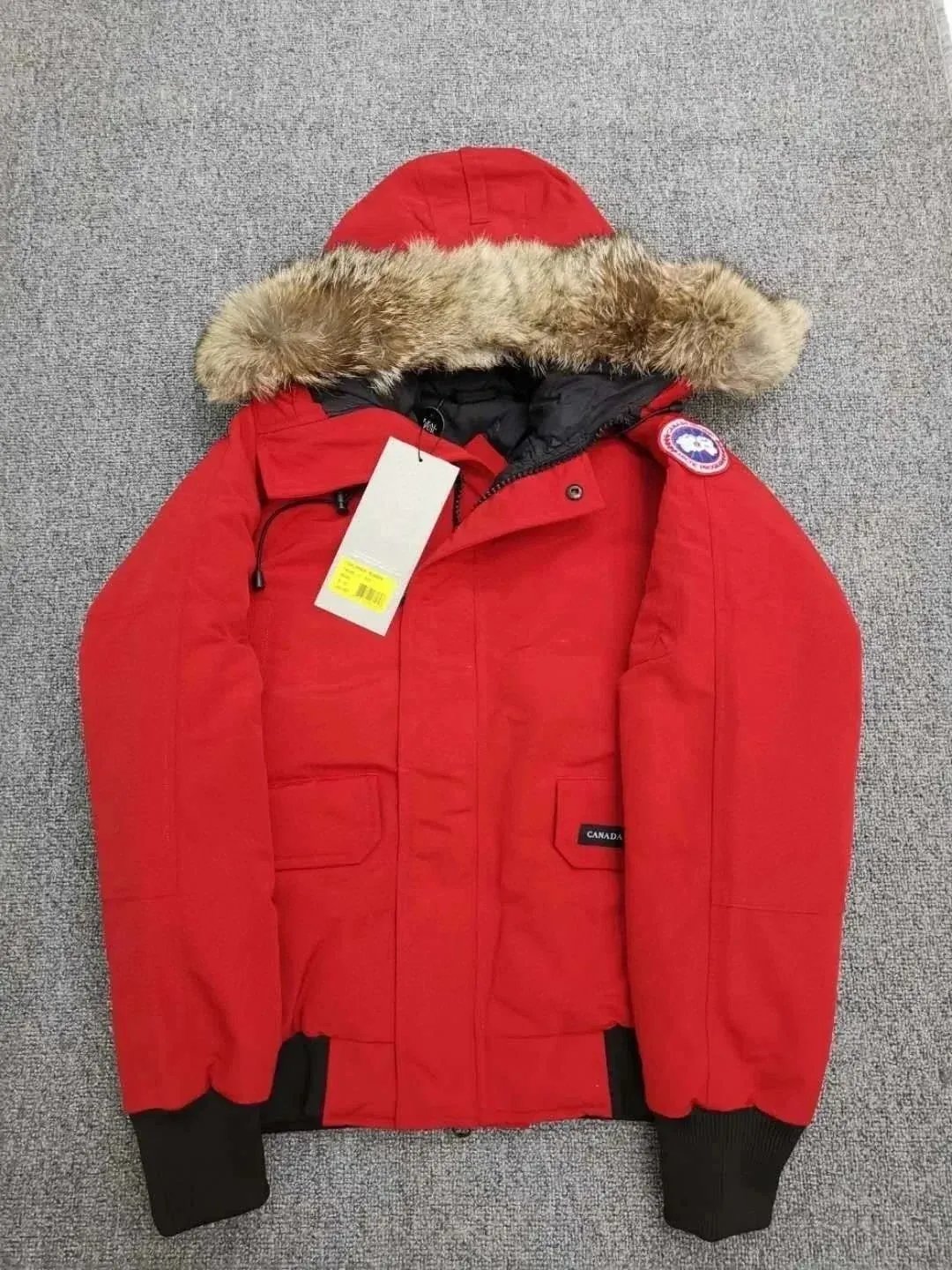 Product view 22