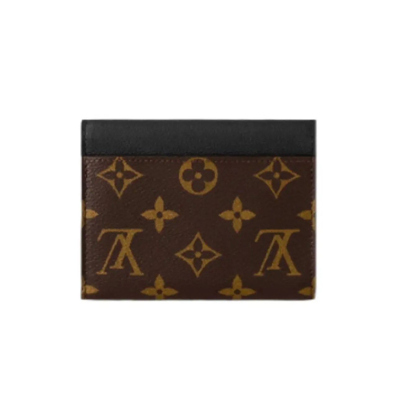 Louis Vuitton Monogram Canvas 