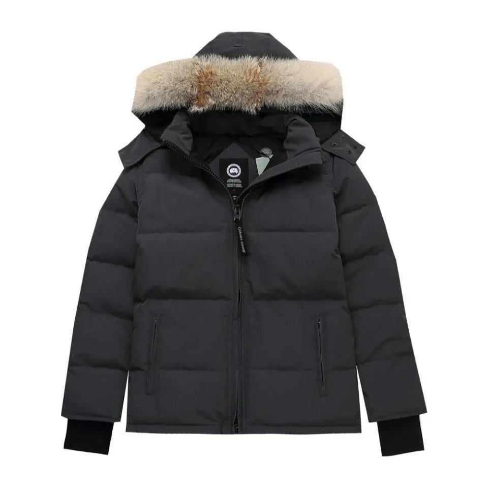 Product view 33