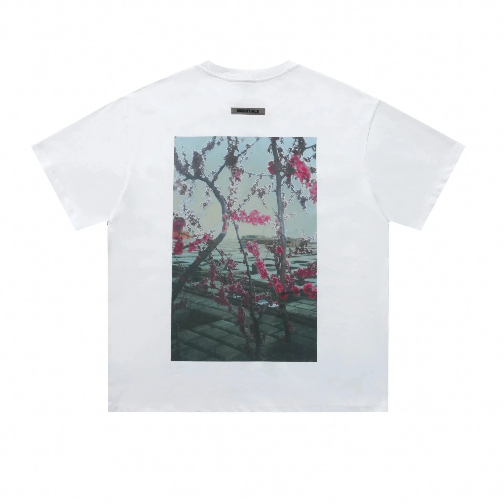 Product view 31