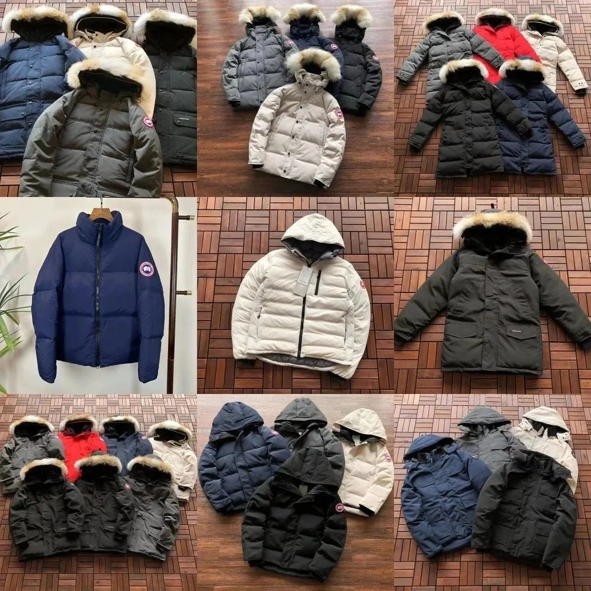 Canada Goose Down Jacket [39 s