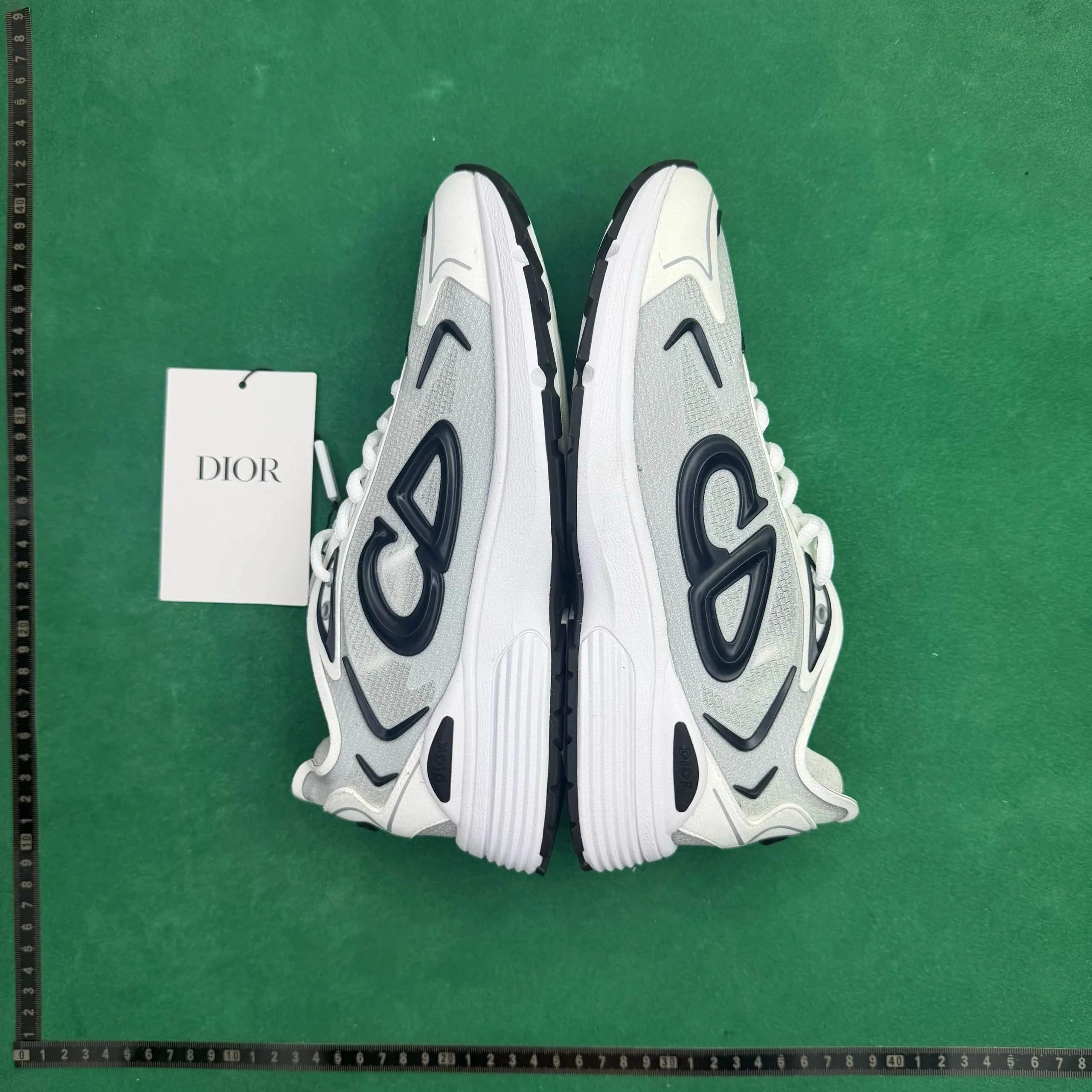 Dior B30 Low
