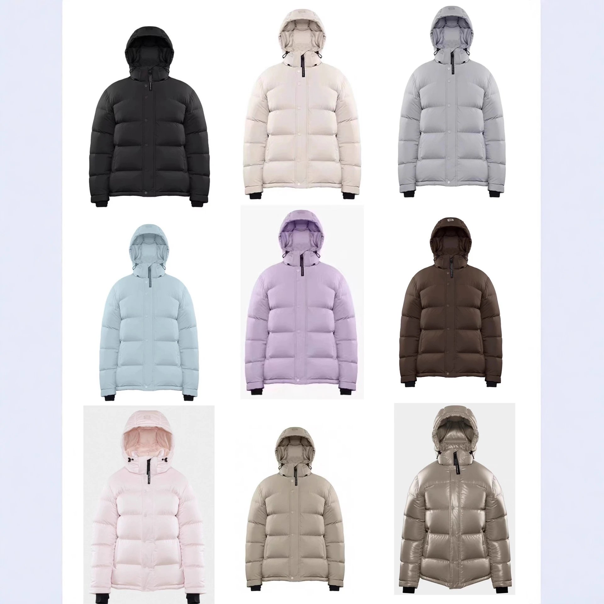 Aritzia Winter Jacket