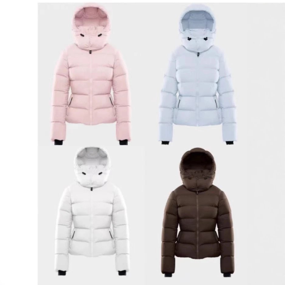 Aritzia Winter Coat
