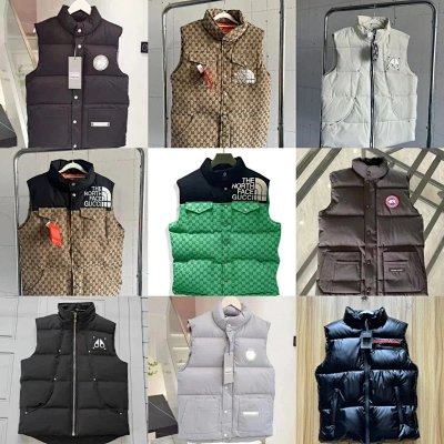 Gucci x The North Face GG Supreme Puffer Vest [40 styles]