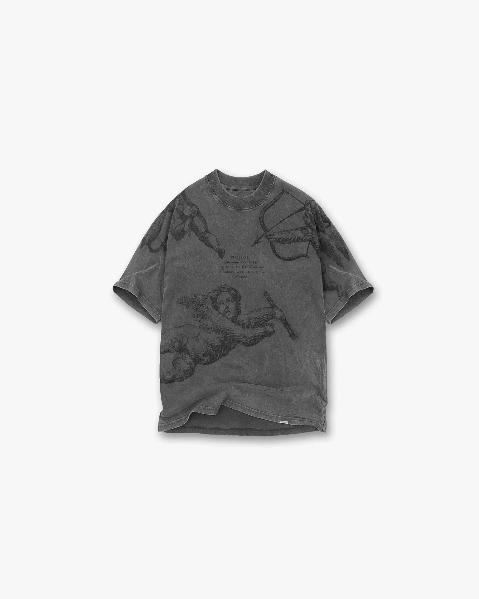 Doberman Vintage Distressed T-Shirt photo 6