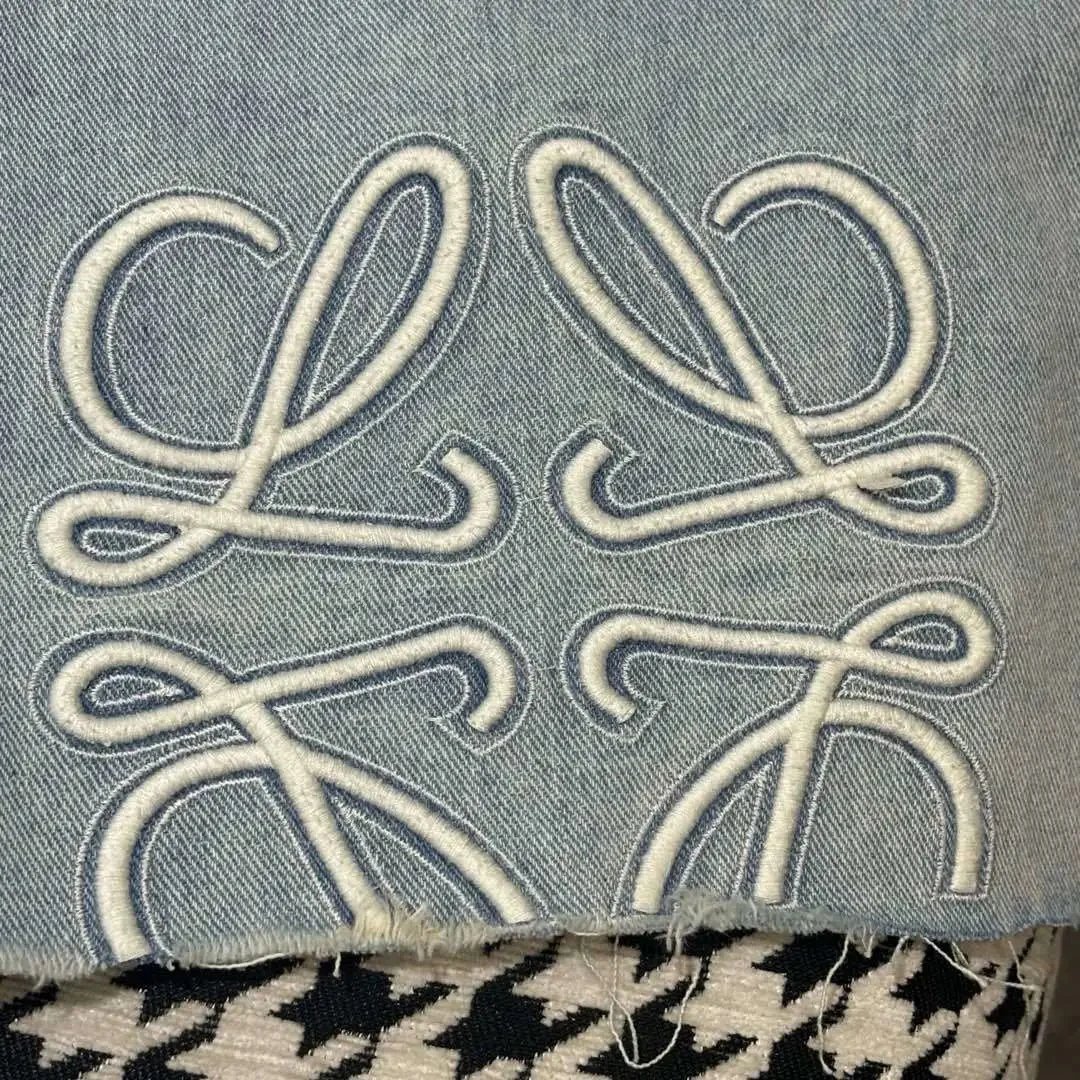 Loe Letter Embroidery Denim Shorts photo 4