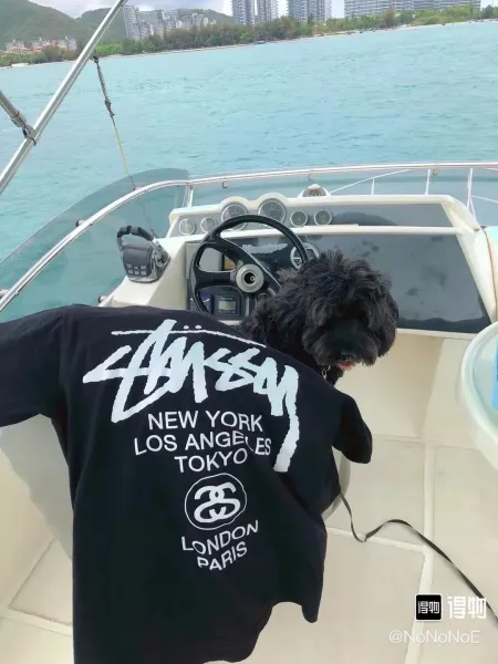 Stussy International Design Beach Roots White T-Shirt - 11