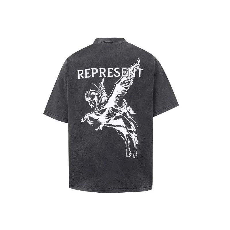 Knight Pegasus Print Vintage Washed T-Shirt photo 2
