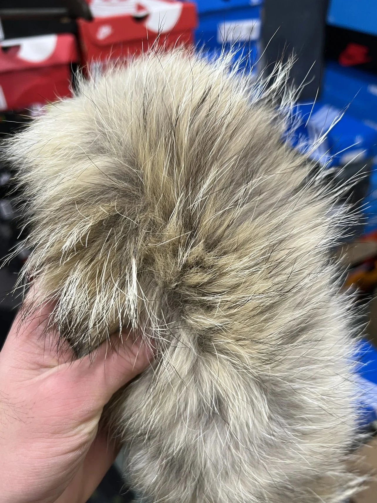 Canada Goose Expedition Parka Blue photo 8