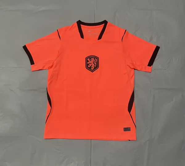 Nike Netherlands National Team 2024 Away Jersey Orange - 1