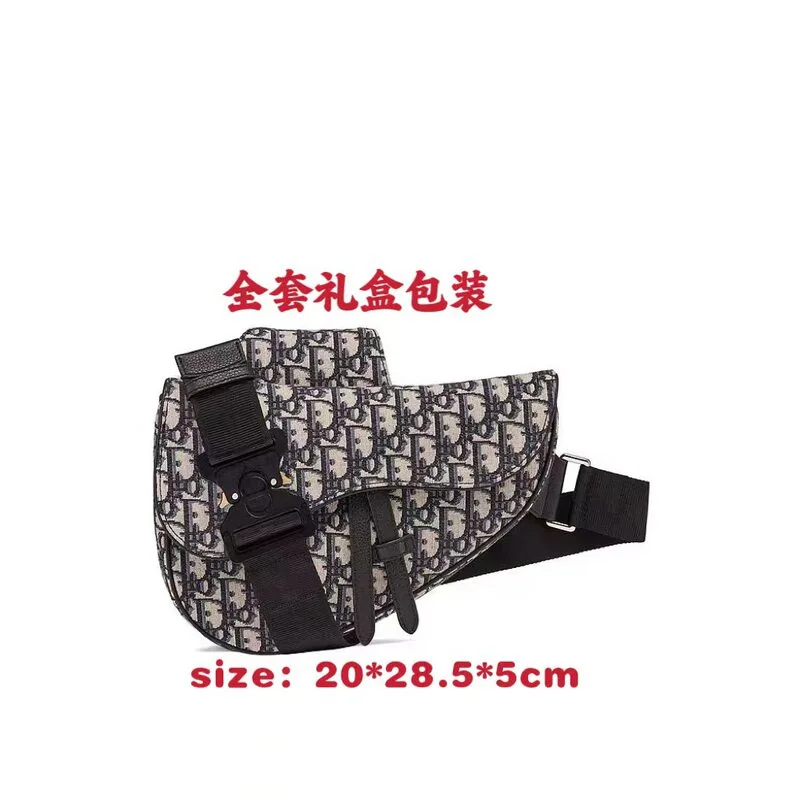 Dior Saddle Bag 2 Estilos