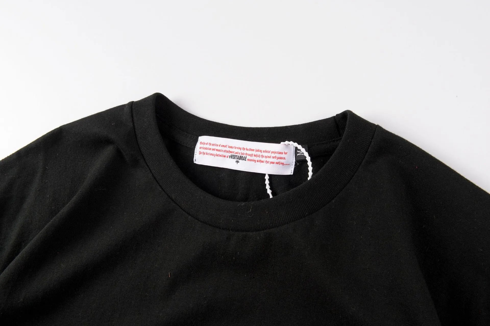 Vertabrate Vertty University Washed Black T-Shirt - 5