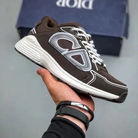 Dior B23 Low Brown and White Sneakers