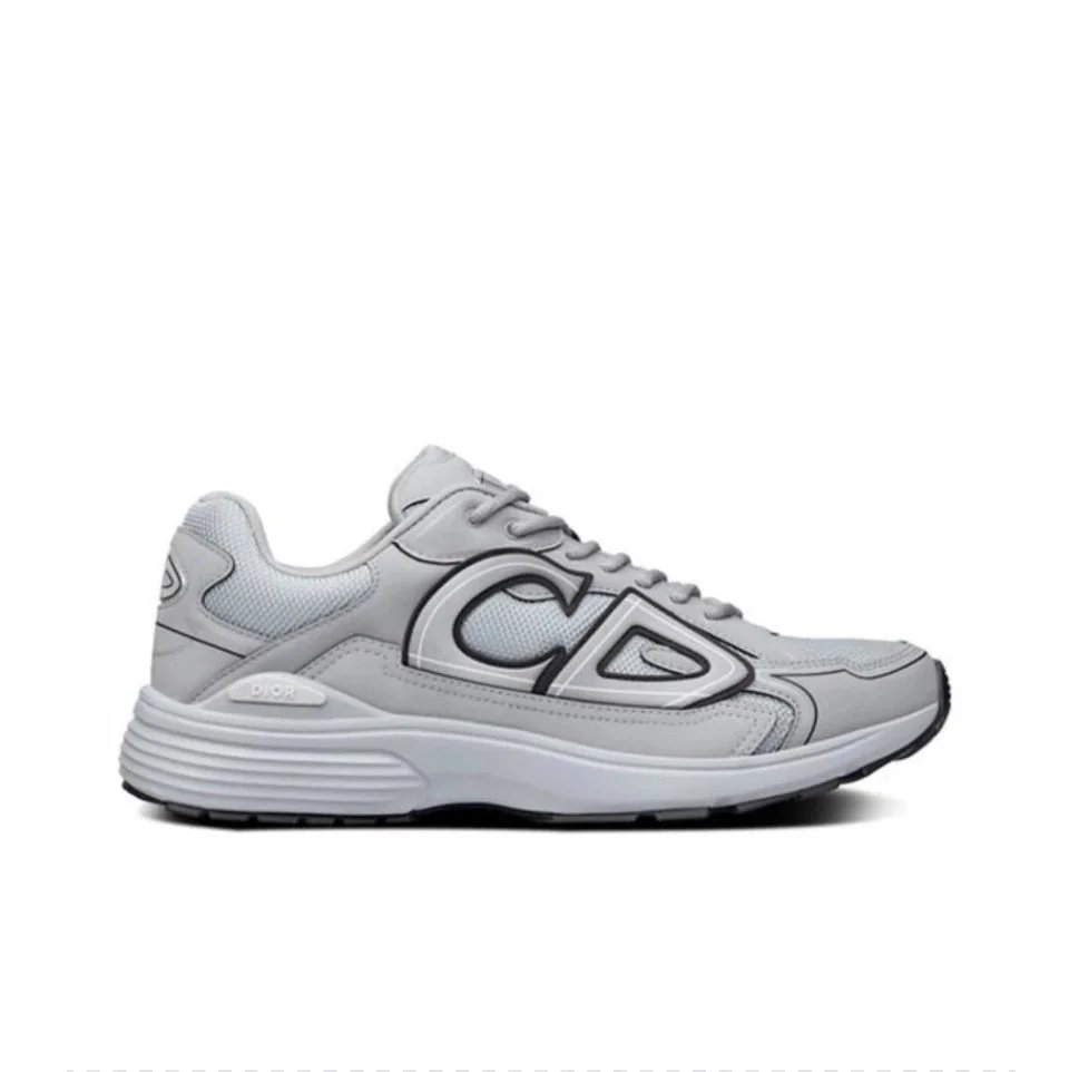 Dior B23 Low Gray Sneakers