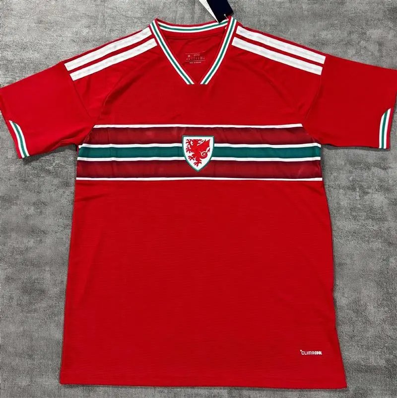 26-27 Wales Home
