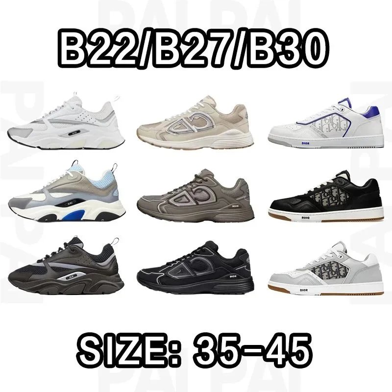 Dior B22/B27/B30 Sne