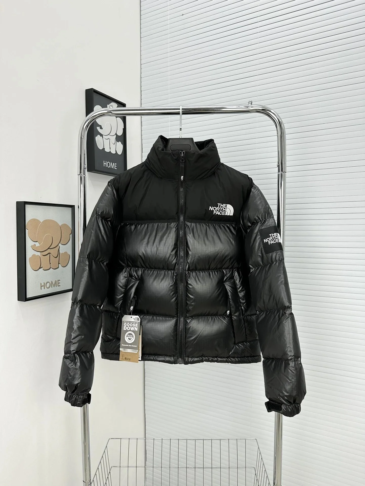 The North Face Down Jacket