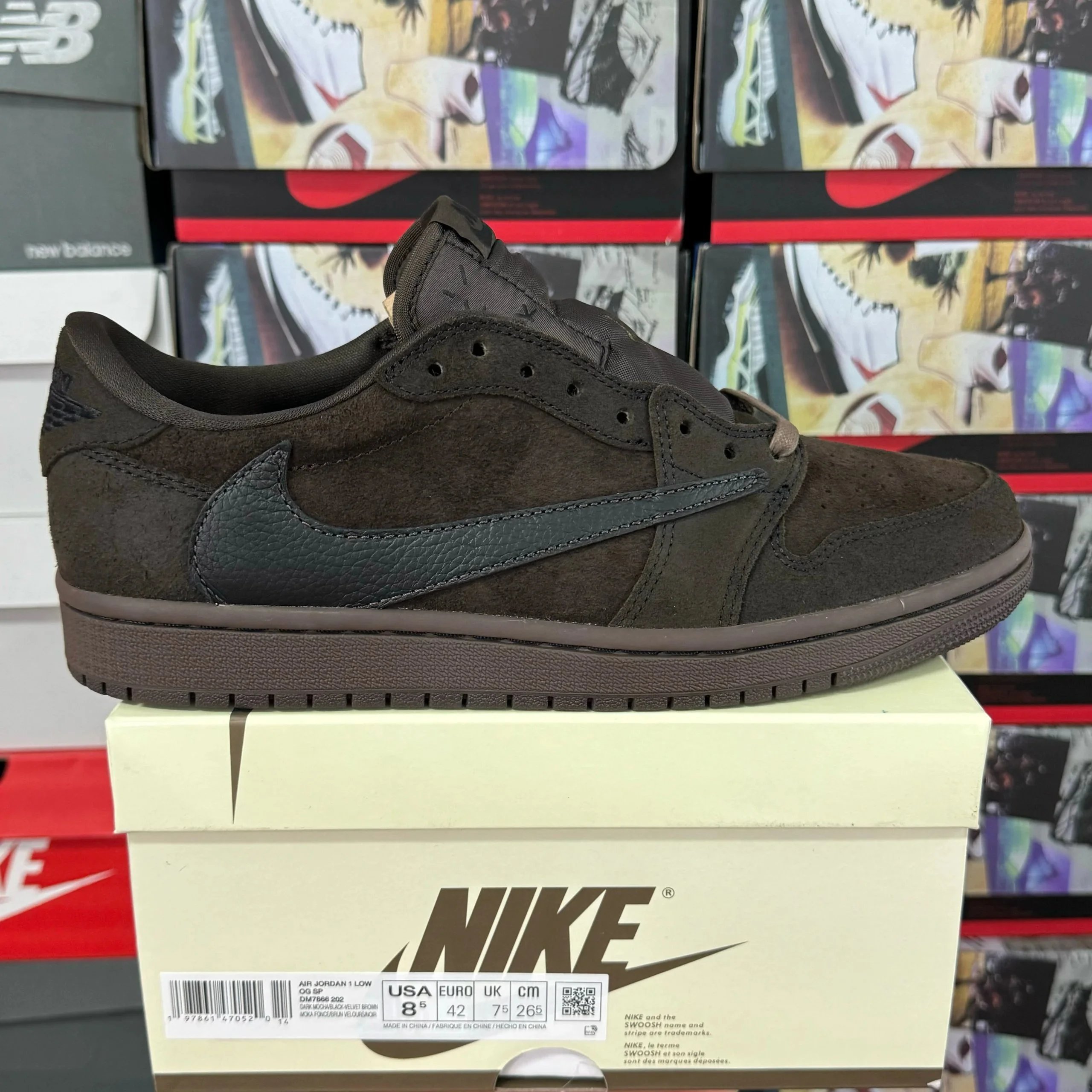 Brown Barb DM7866-202