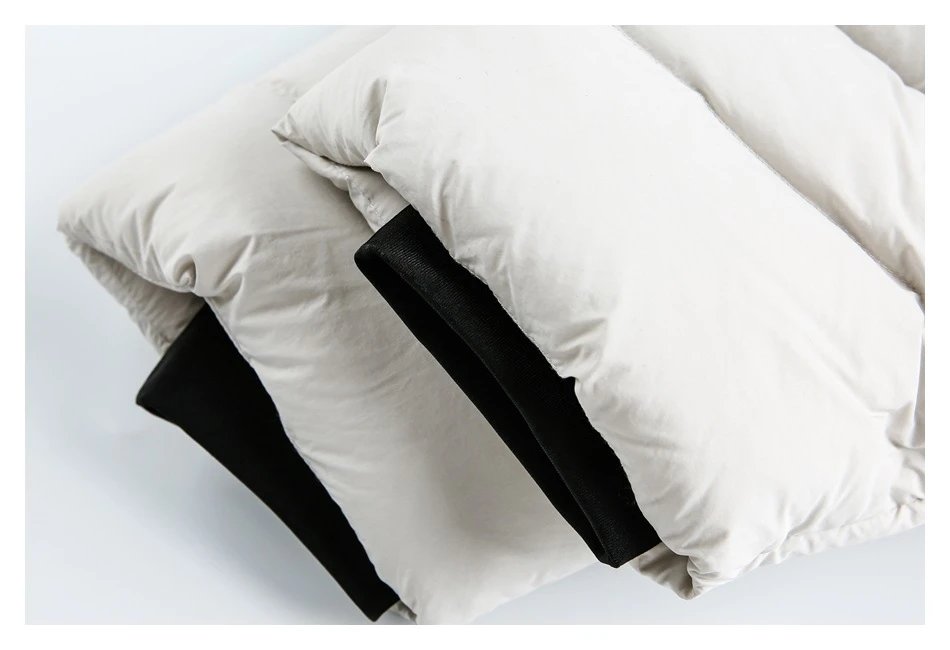 Men's Winter Warm Stand Collar Puffer Jacket, Duck Down, Snow White - Gallery Image 13 - Detailed View