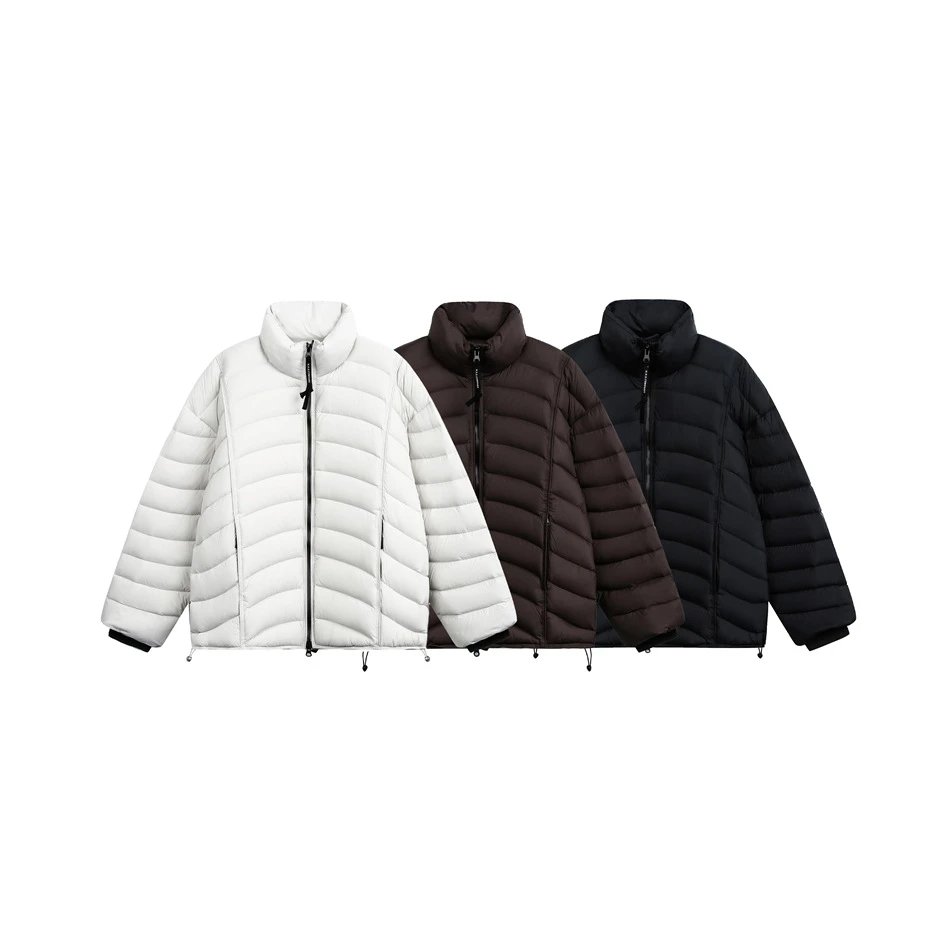 Men's Winter Warm Stand Collar Puffer Jacket, Duck Down, Snow White - Gallery Image 1 - Detailed View