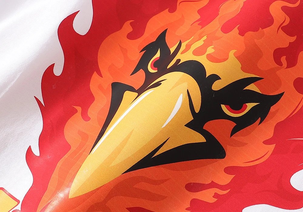 Rhude Flaming Eagle T-Shirt Multicolor - Gallery Image 11 - Detailed View