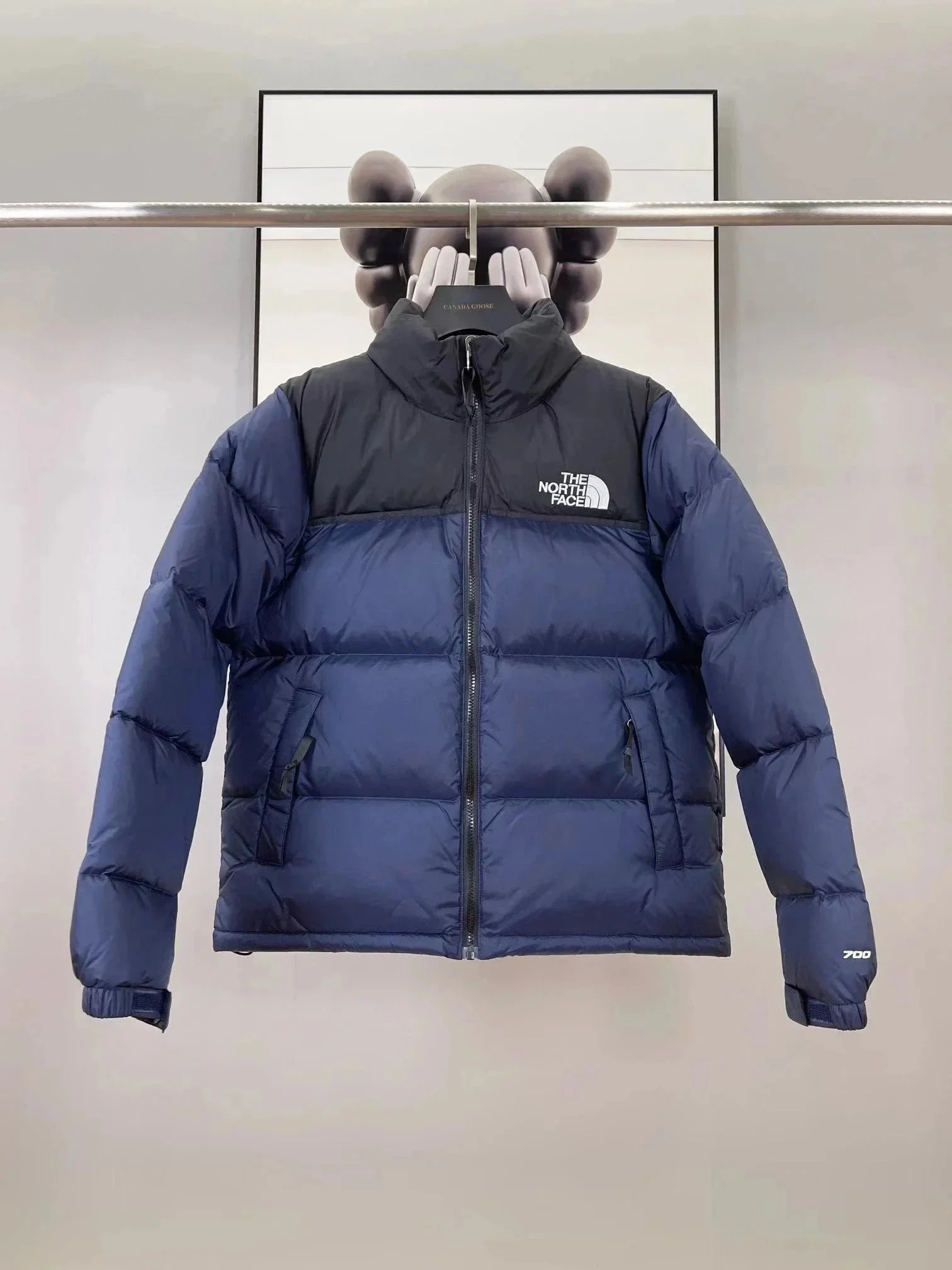 The North Face Down Jackets 700-fill color-block puffer jacket image 4