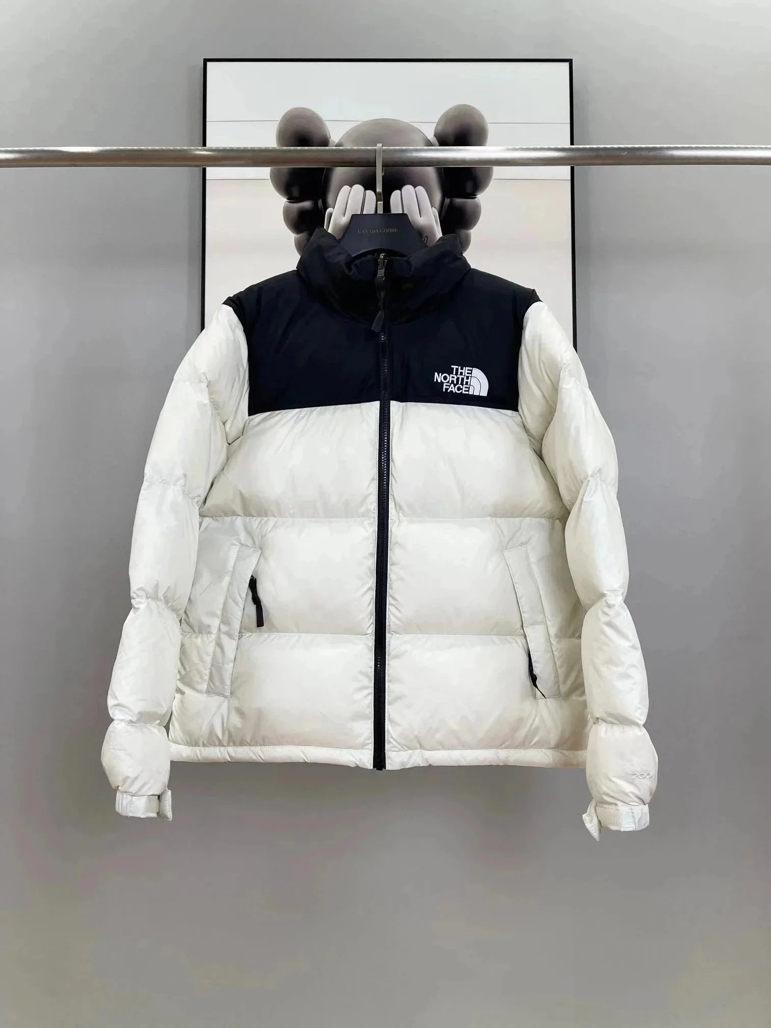 The North Face Down Jackets 700-fill color-block puffer jacket image 5