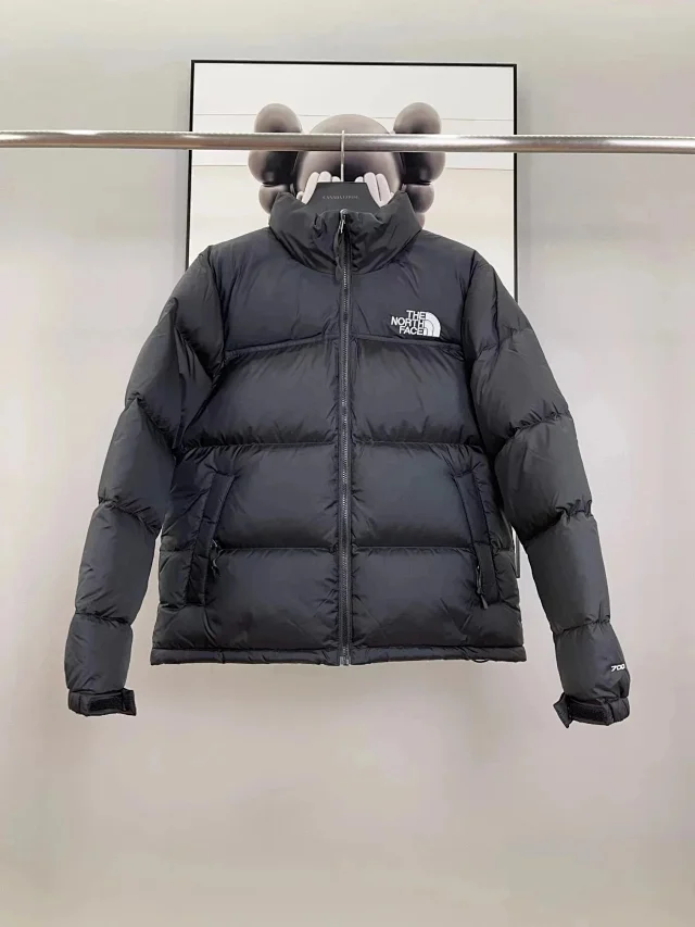 The North Face Down Jackets 700-fill color-block puffer jacket product detail image 1