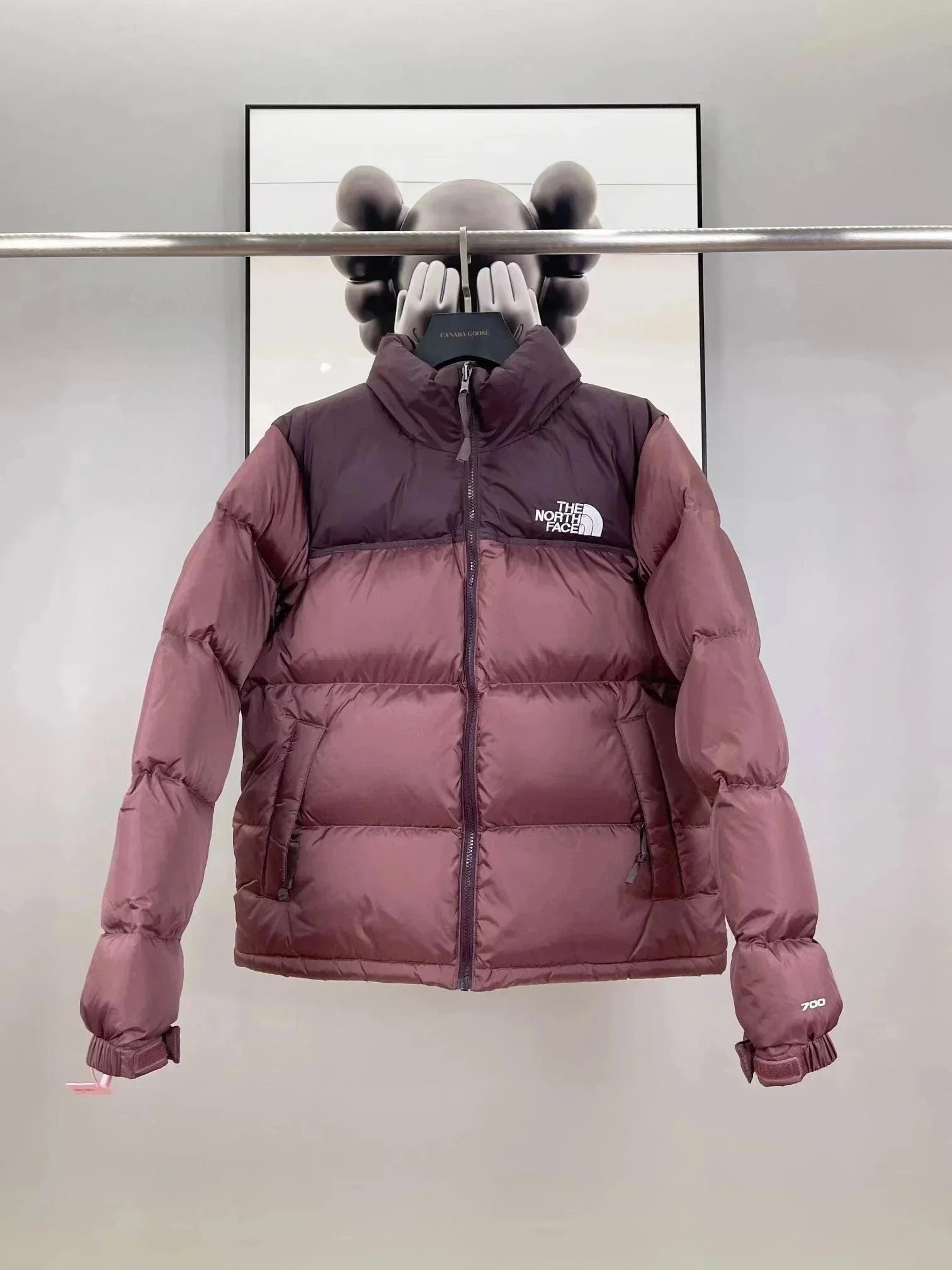 The North Face Down Jackets 700-fill color-block puffer jacket image 8