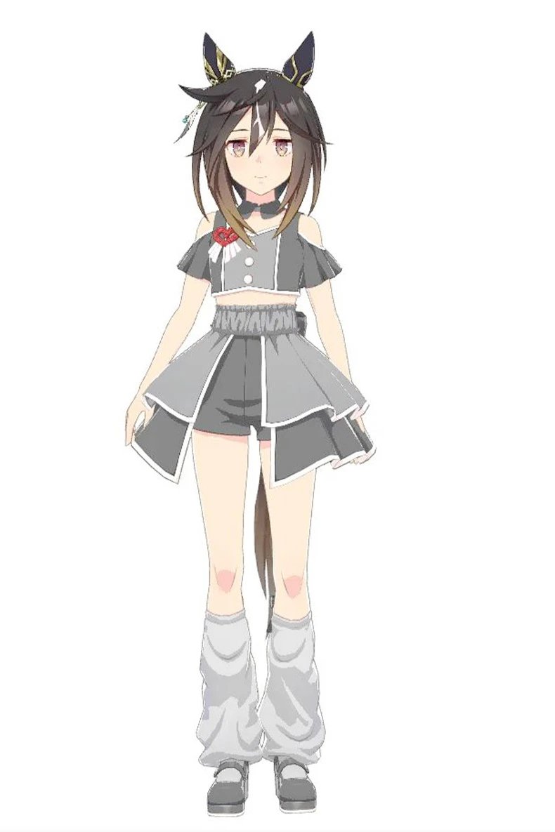 Design 5th Anniversary Concert Gray Cosplay Set - 13