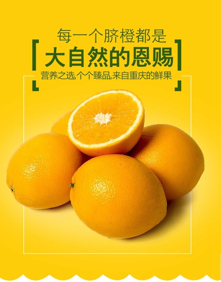 奉节脐橙福本10斤