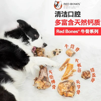 Funpaw泛跑宠物俱乐部 Funpaw泛跑宠物俱乐部