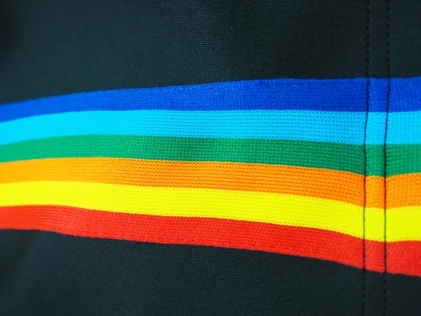 Palace Angels Blue Track Shorts - 29