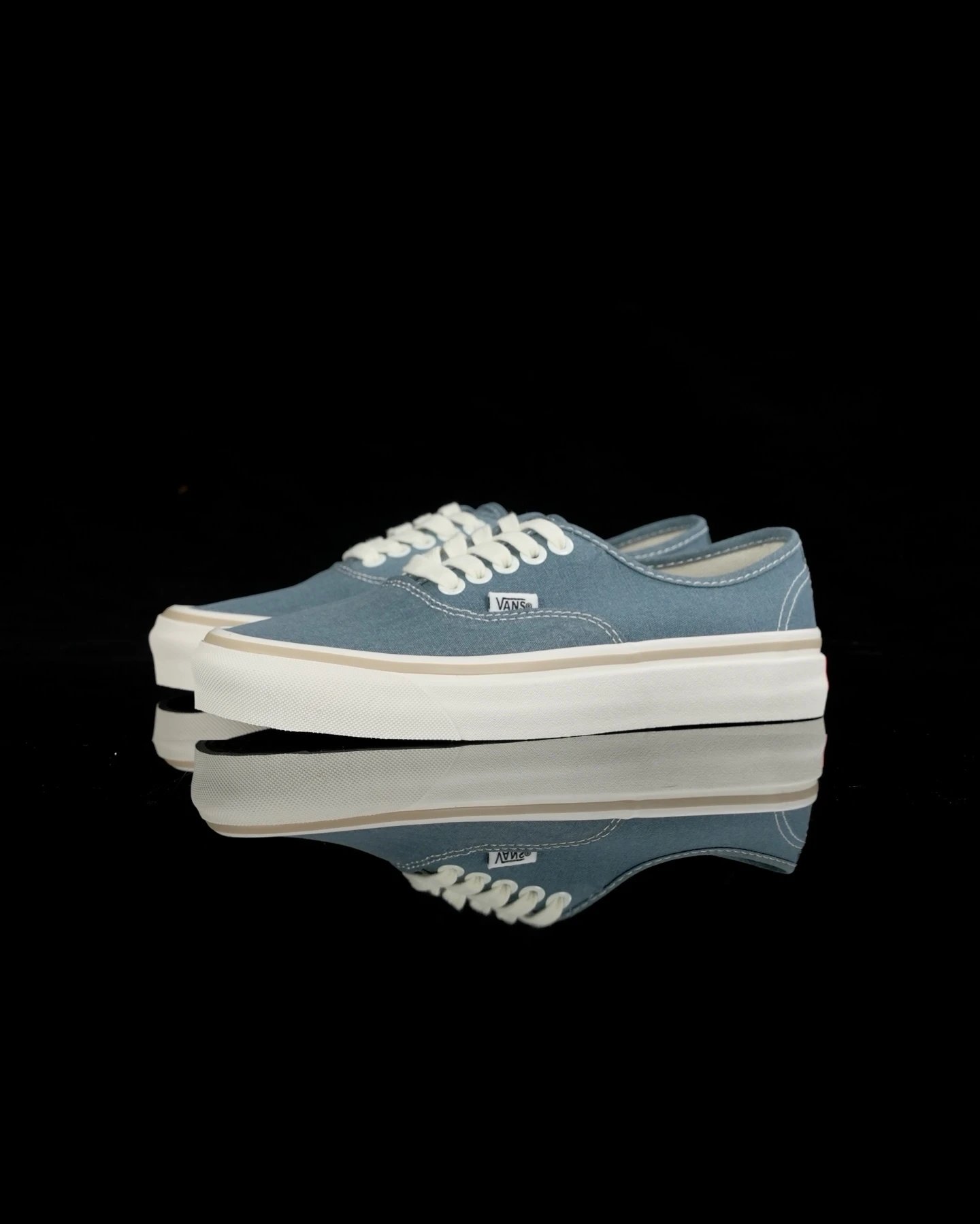 Vans Authentic Blue Canvas Low Top Skate Shoes