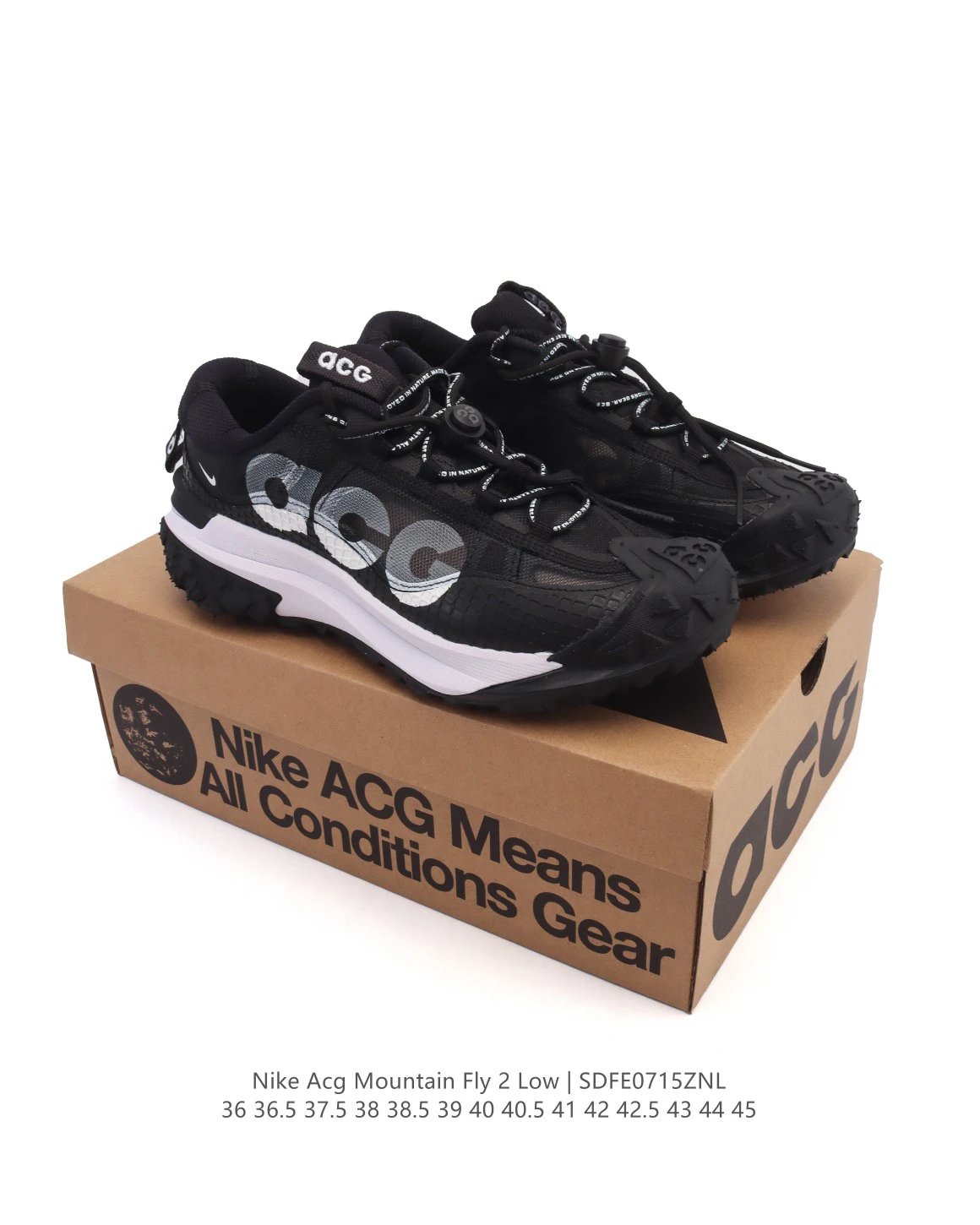 Nike ACG Mountain Fly 2 Low Black Trail Shoes
