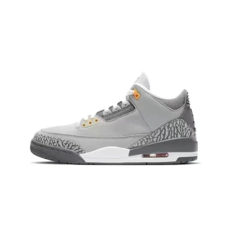 Air Jordan 3 'Cool Grey'