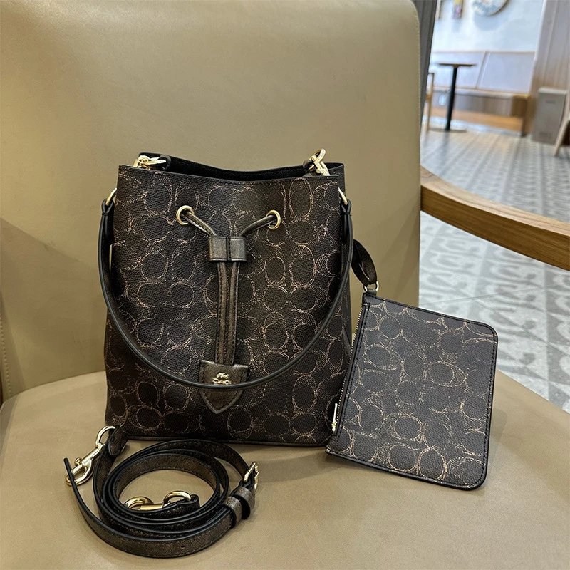 Coach Bucket Bag with Signature C Print in Brown and Gold