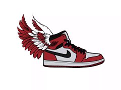 G_flyshoes