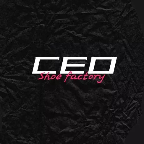 CEO Drop Shipping