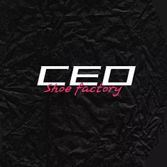 CEO Drop Shipping