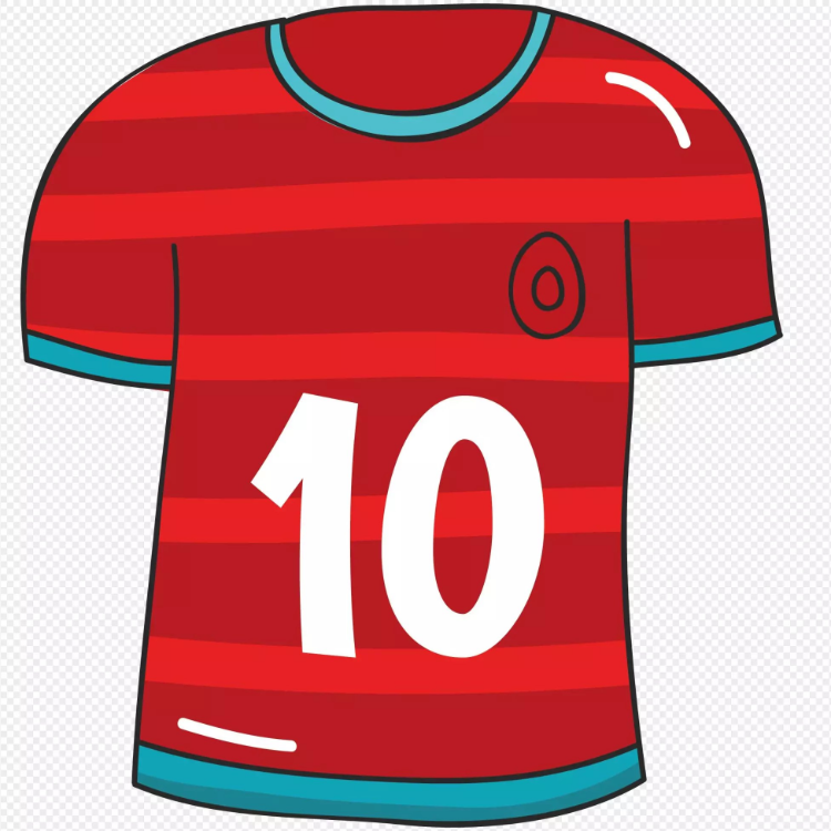 Sports jersey