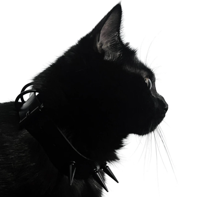 CatX（factory）