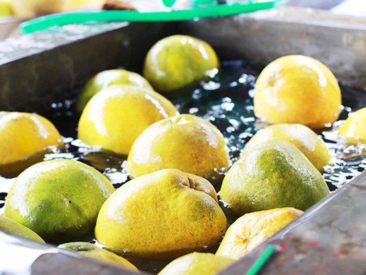 00元 部分地区包邮 荒野牧蜂人丨杜英蜜丨清自由基 深山土蜂蜜 新鲜