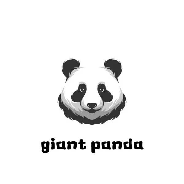 大熊猫 🐼