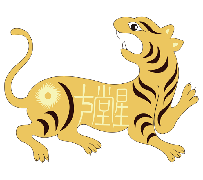 精准 庚子年生肖虎 男命 运程详解