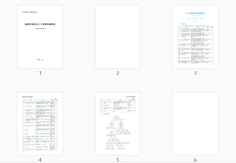 图片[2]-2025RD法考-刑诉-主观题基础强化.pdf-第一考资