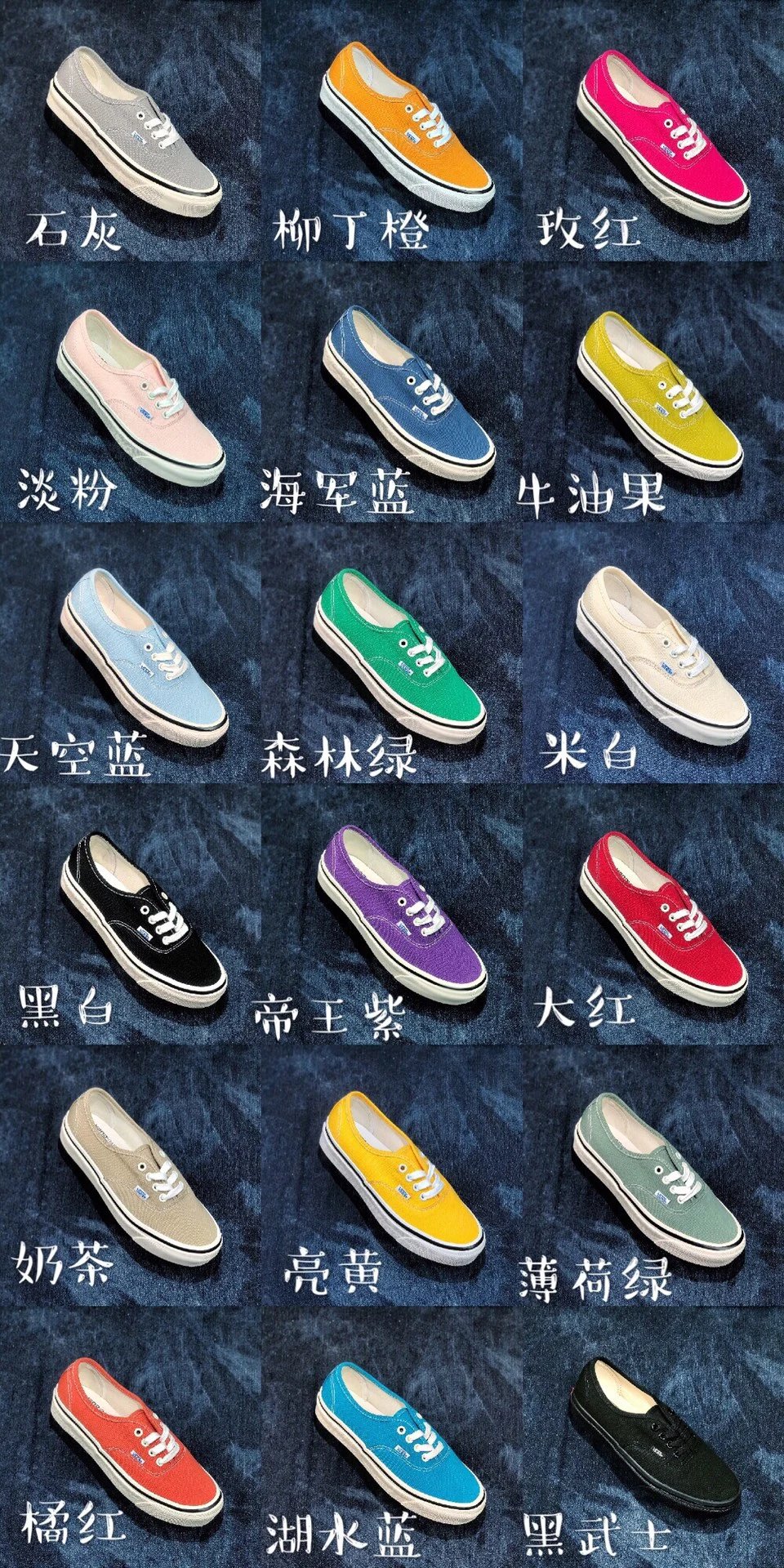 Vans Authentic Canvas Vulcanized Skate Shoe