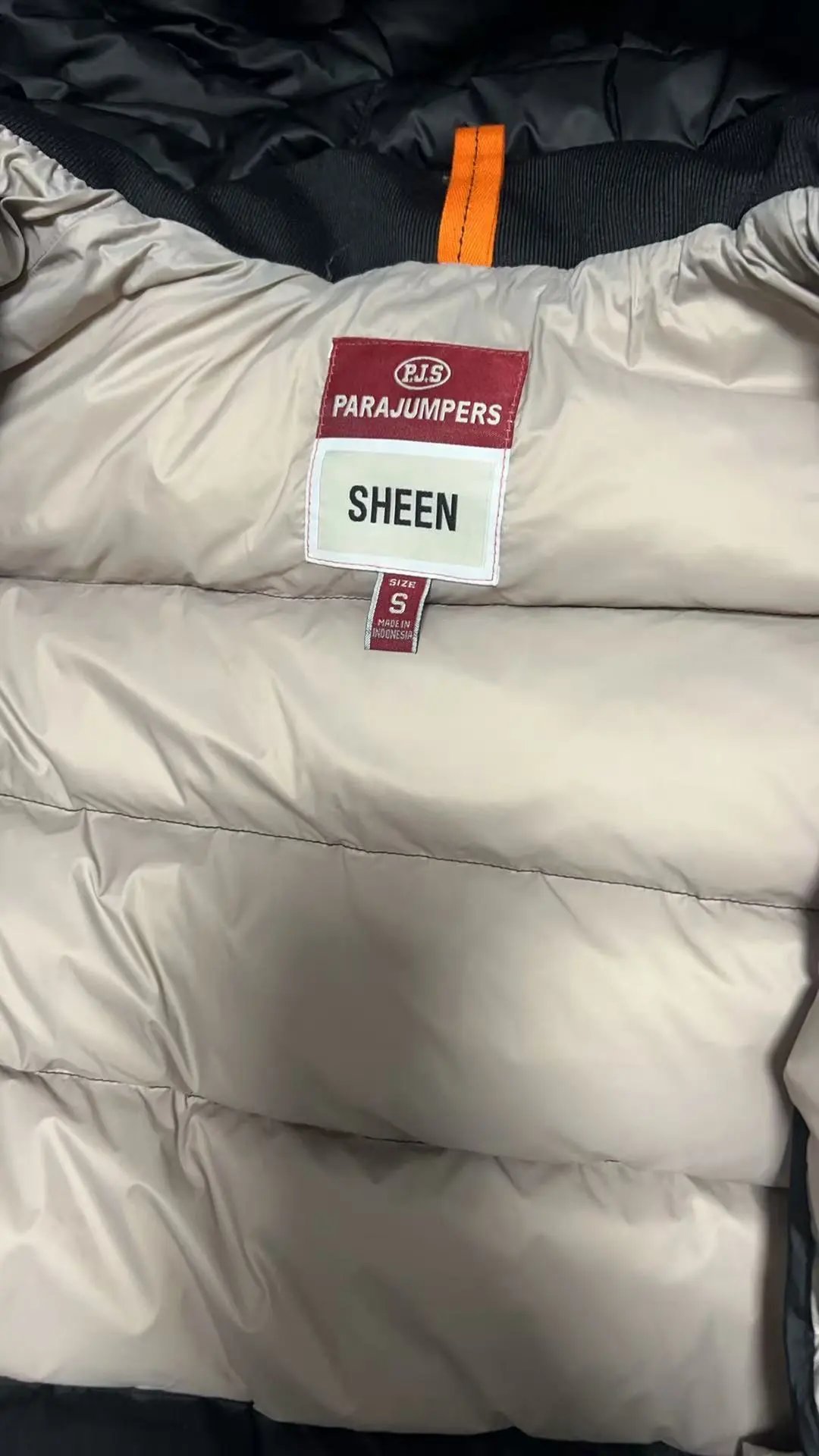 Men's Hooded Down Jacket White Duck Down photo 7